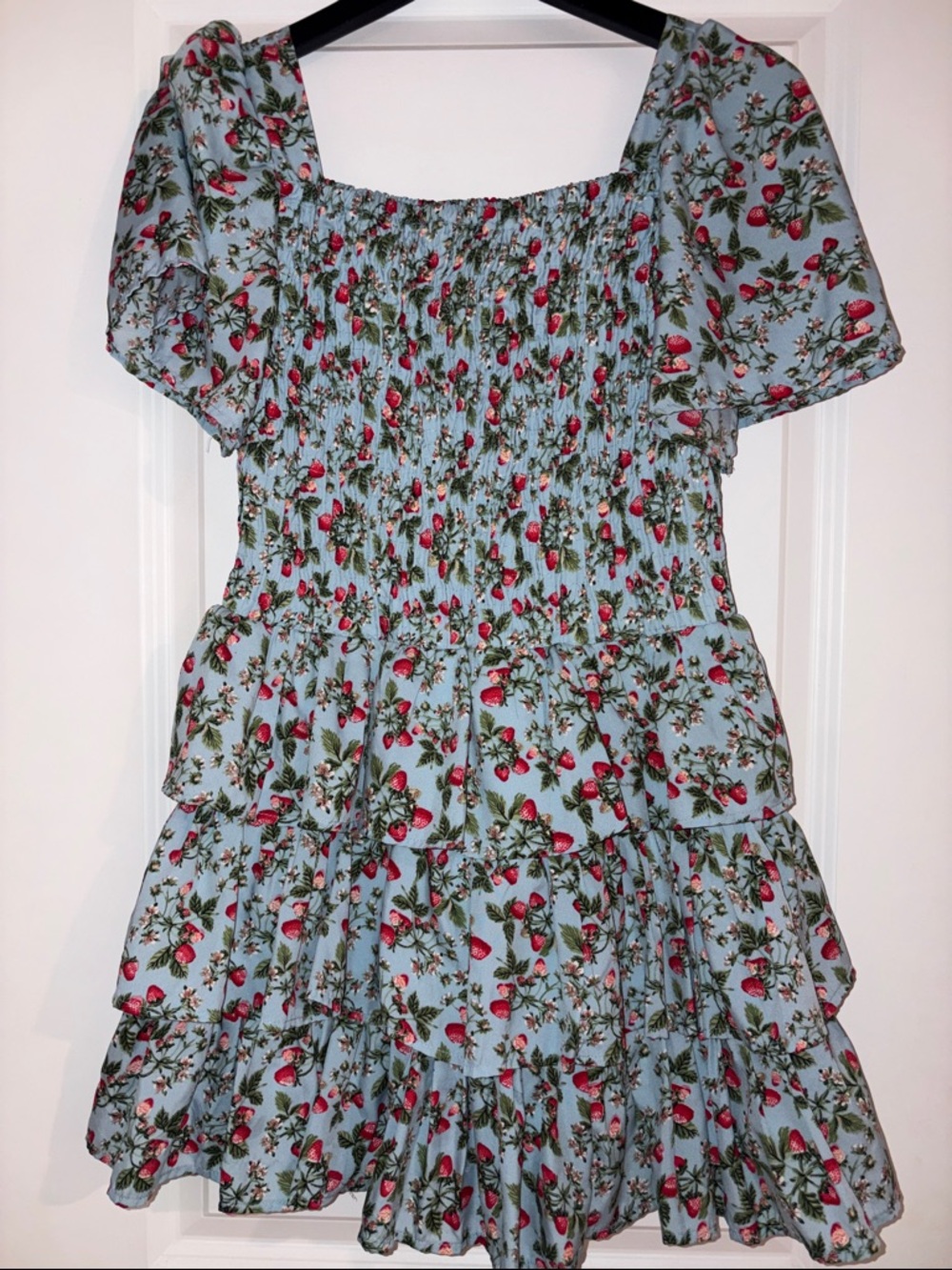 Pastourelle Light Blue Floral Mini Dress with Red Berry Print